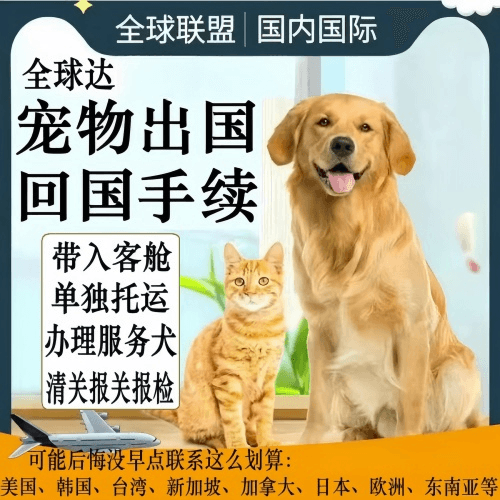 呼和浩特宠物托运到柬埔寨宠物入境规定和要求